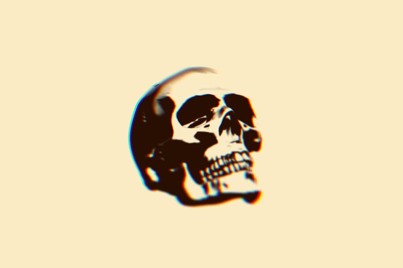 Skull Object